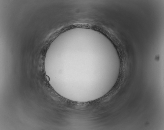 X0000116791350200912181044