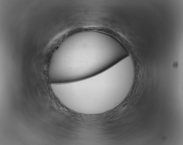 X0000116791351200912181044