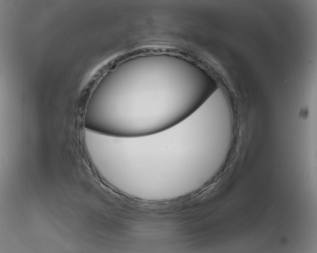 X0000116791352200912181044