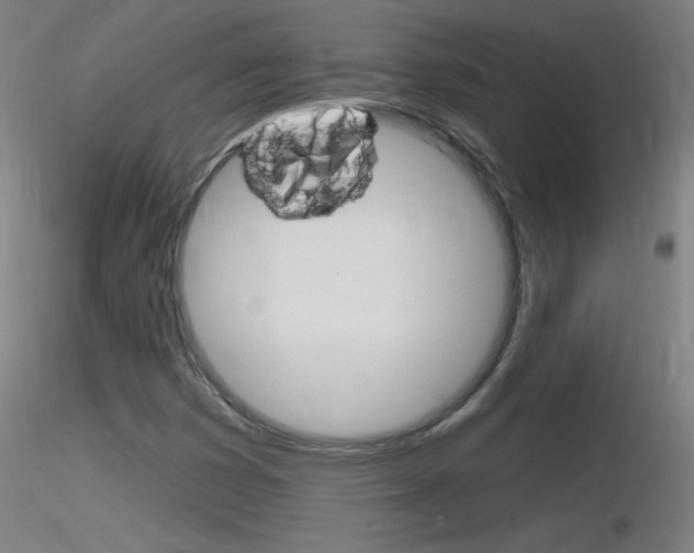 X0000116791353200912181044