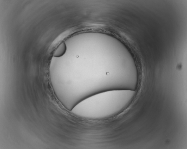 X0000116791354200912181044