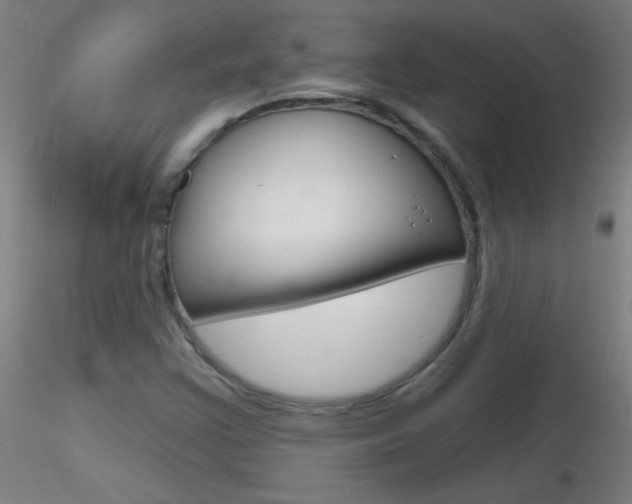 X0000116791355200912181044