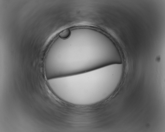 X0000116791356200912181044