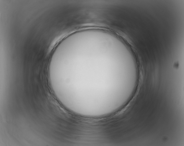 X0000116791357200912181044