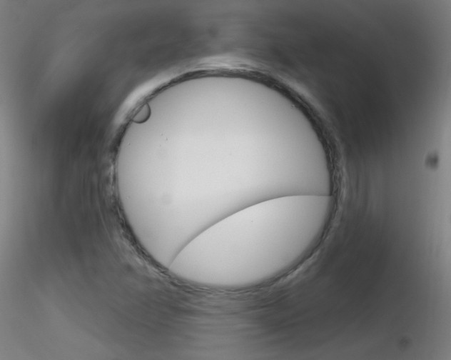 X0000116791358200912181044