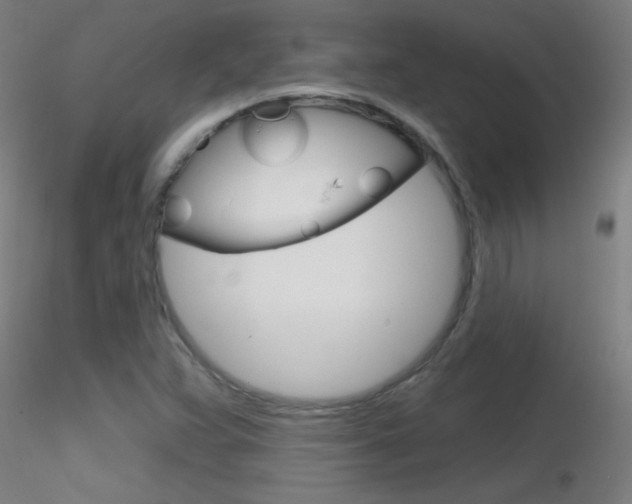 X0000116791359200912181044