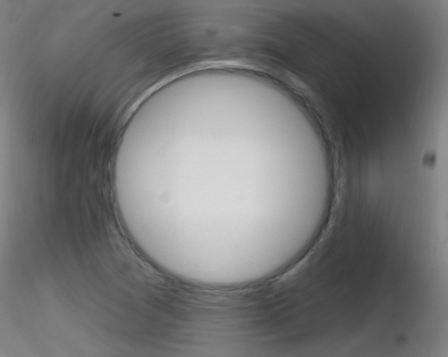 X0000116791361200912181044
