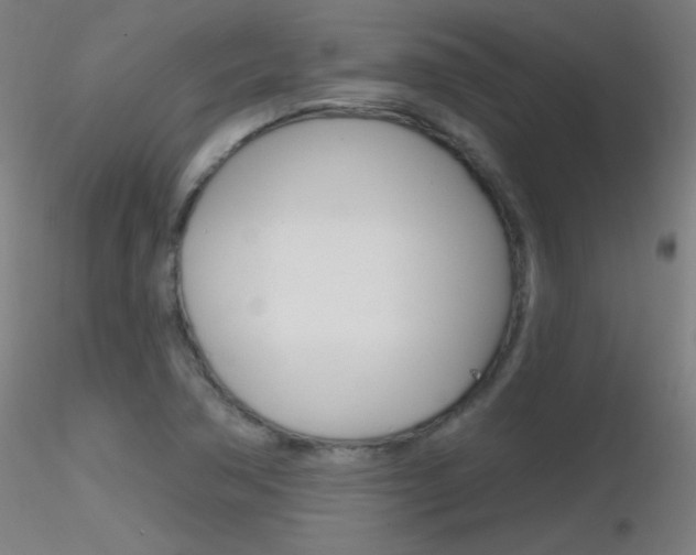 X0000116791362200912181044