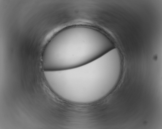 X0000116791363200912181044