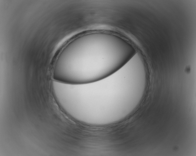 X0000116791364200912181044