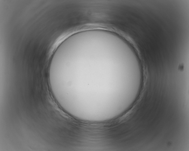 X0000116791365200912181044