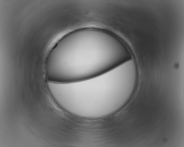 X0000116791367200912181044
