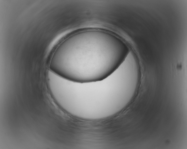 X0000116791368200912181044