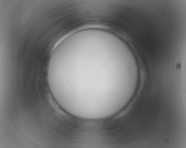 X0000116791369200912181044
