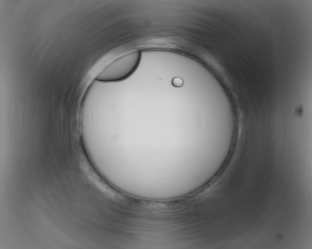 X0000116791370200912181044