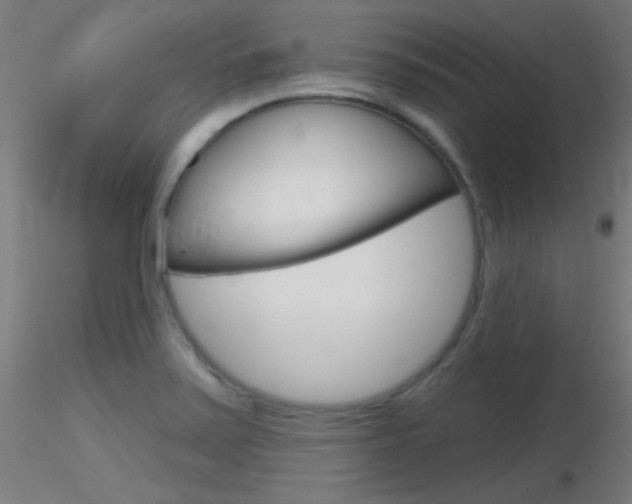X0000116791371200912181044