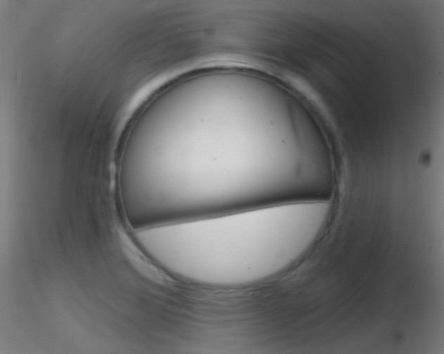 X0000116791372200912181044
