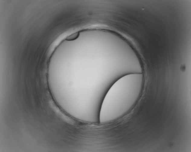 X0000116791374200912181044