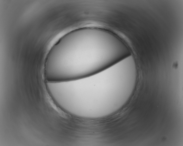 X0000116791375200912181044