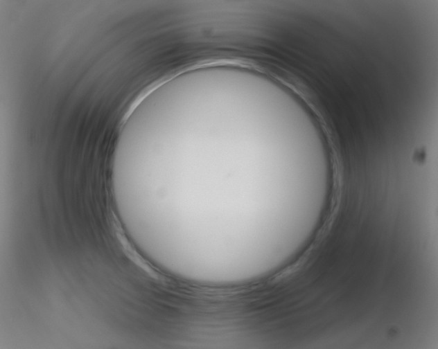 X0000116791377200912181044
