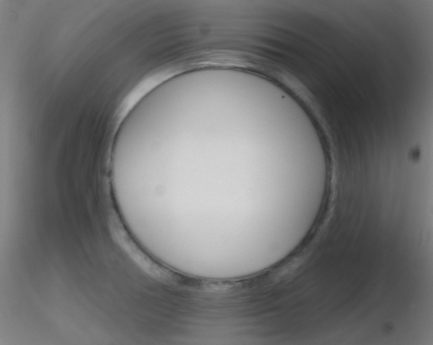X0000116791378200912181044