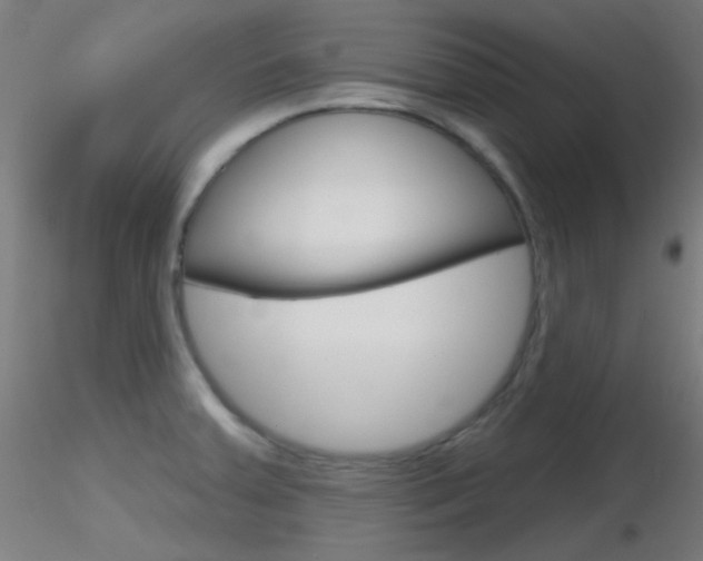 X0000116791379200912181044