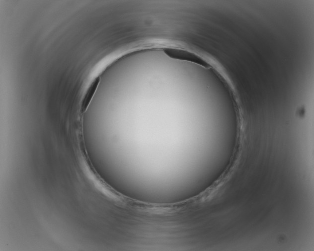 X0000116791381200912181044