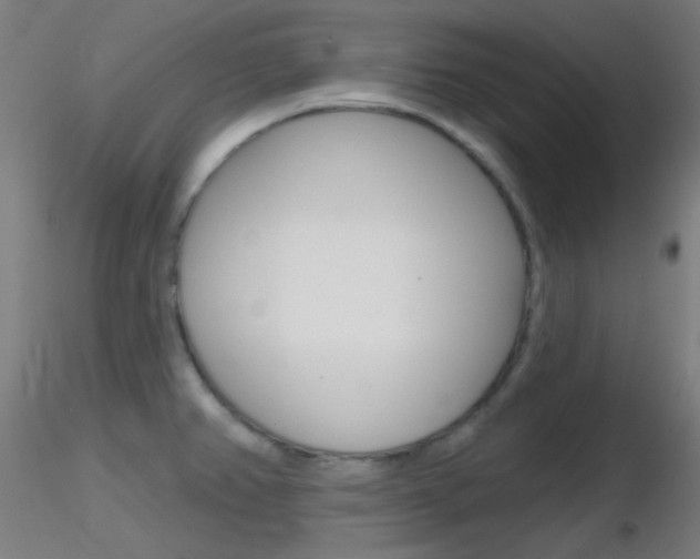X0000116791382200912181044