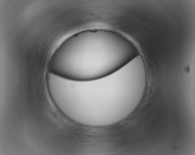 X0000116791383200912181044