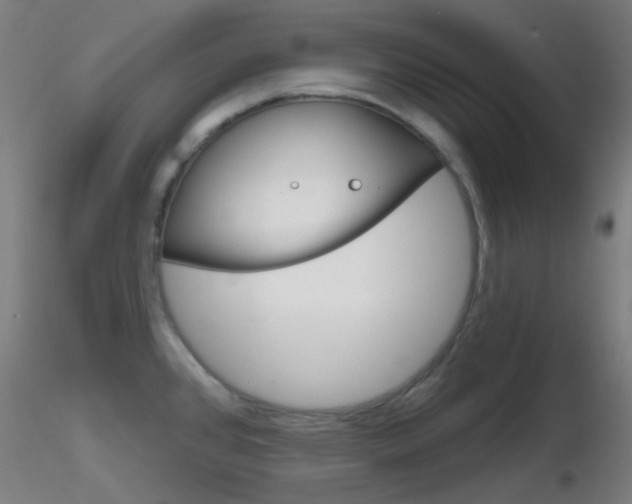 X0000116791384200912181044