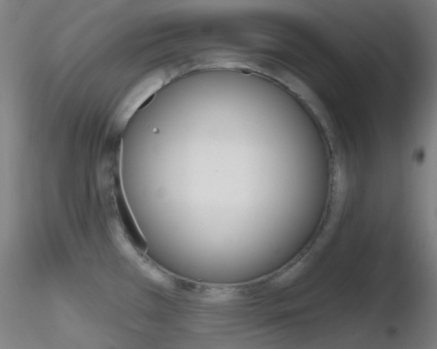 X0000116791385200912181044