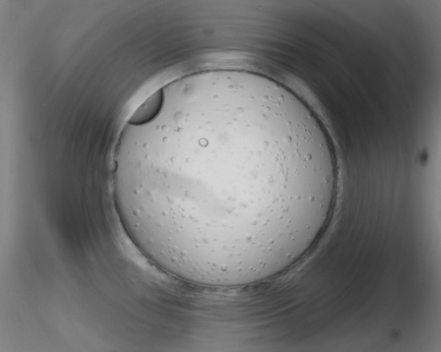 X0000116791386200912181044