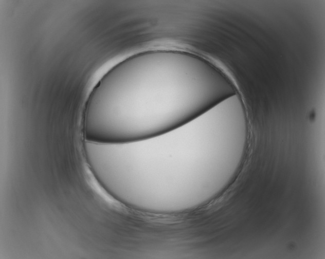 X0000116791387200912181044
