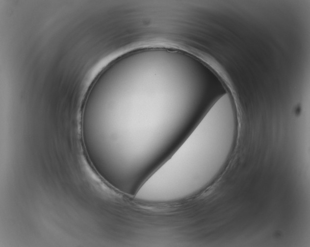 X0000116791388200912181044