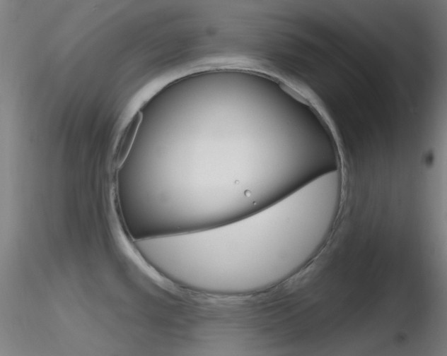 X0000116791389200912181044