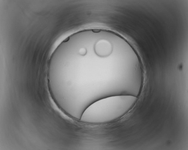 X0000116791390200912181044
