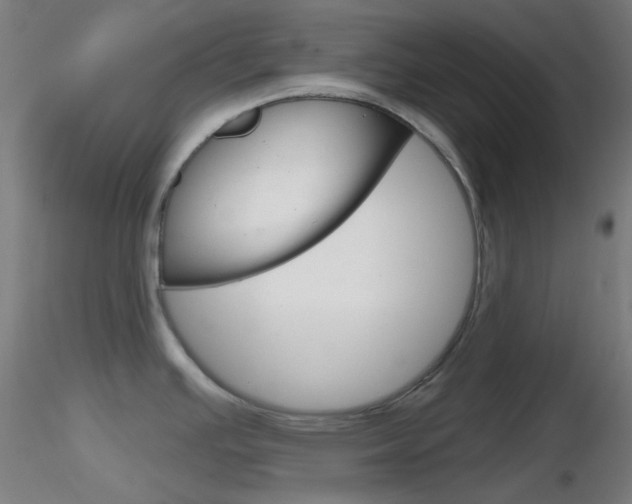 X0000116791391200912181044
