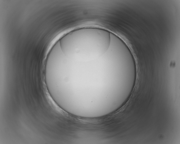 X0000116791392200912181044