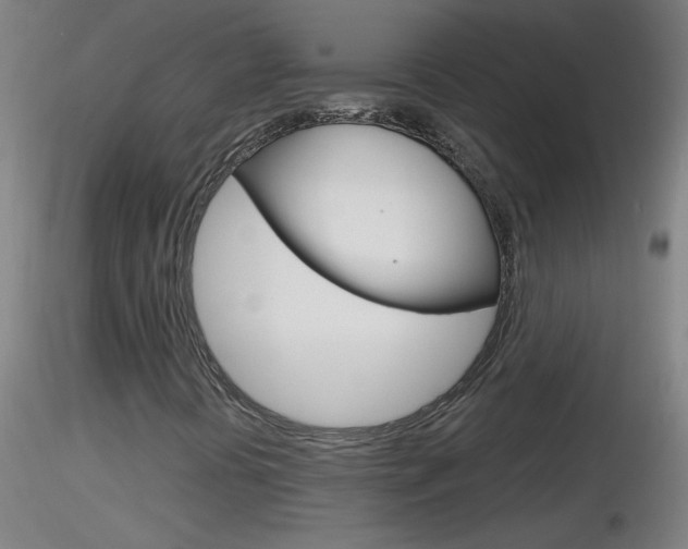 X0000116791394200912181043