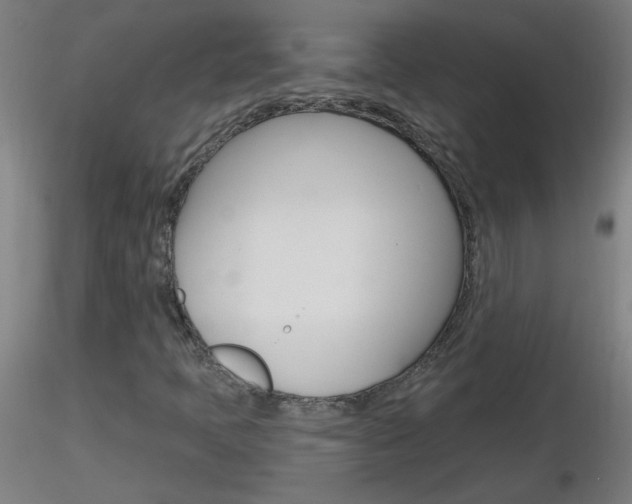 X0000116791397200912181043