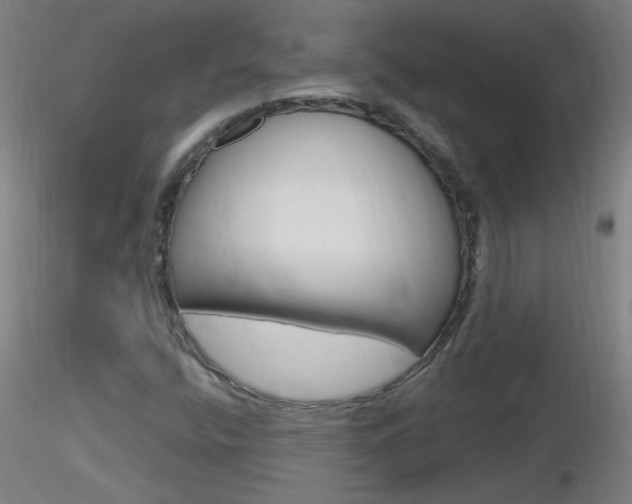 X0000116791400200912181043