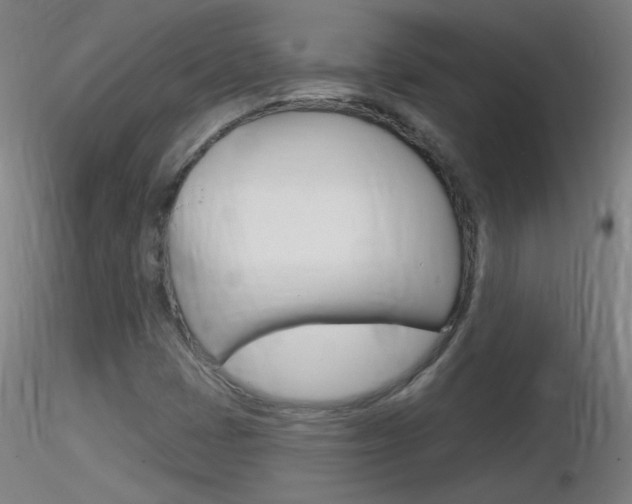 X0000116791401200912181043