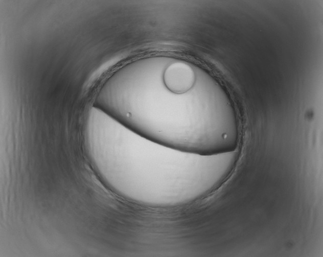 X0000116791402200912181043
