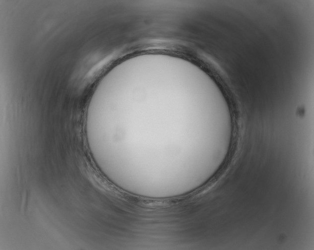 X0000116791403200912181043