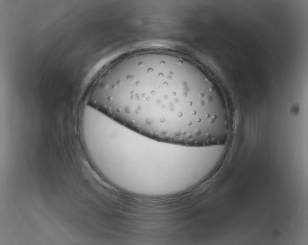 X0000116791404200912181043