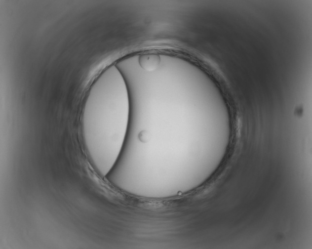 X0000116791405200912181043