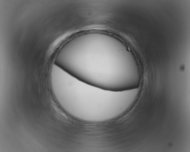 X0000116791406200912181043