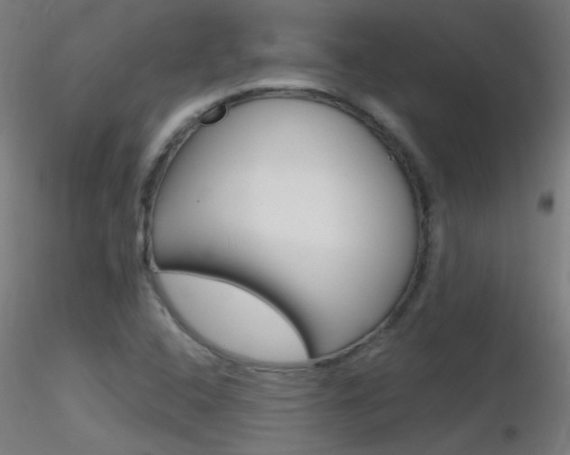X0000116791408200912181043