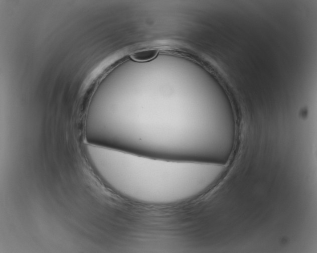 X0000116791410200912181043