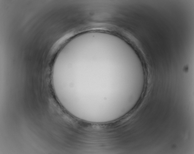X0000116791411200912181043